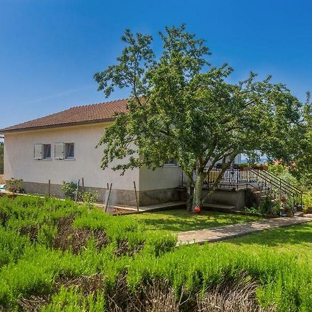 Apartments Marica Skrbcici Екстер'єр фото